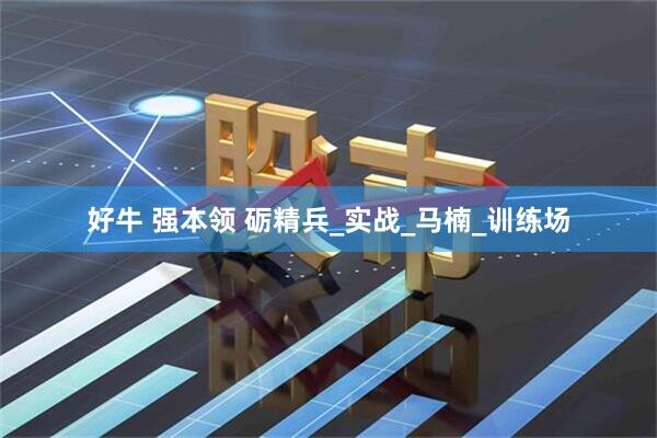 好牛 强本领 砺精兵_实战_马楠_训练场