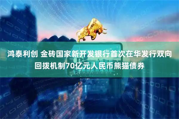 鸿泰利创 金砖国家新开发银行首次在华发行双向回拨机制70亿元人民币熊猫债券